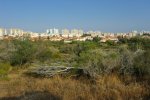 מכללות באשקלון